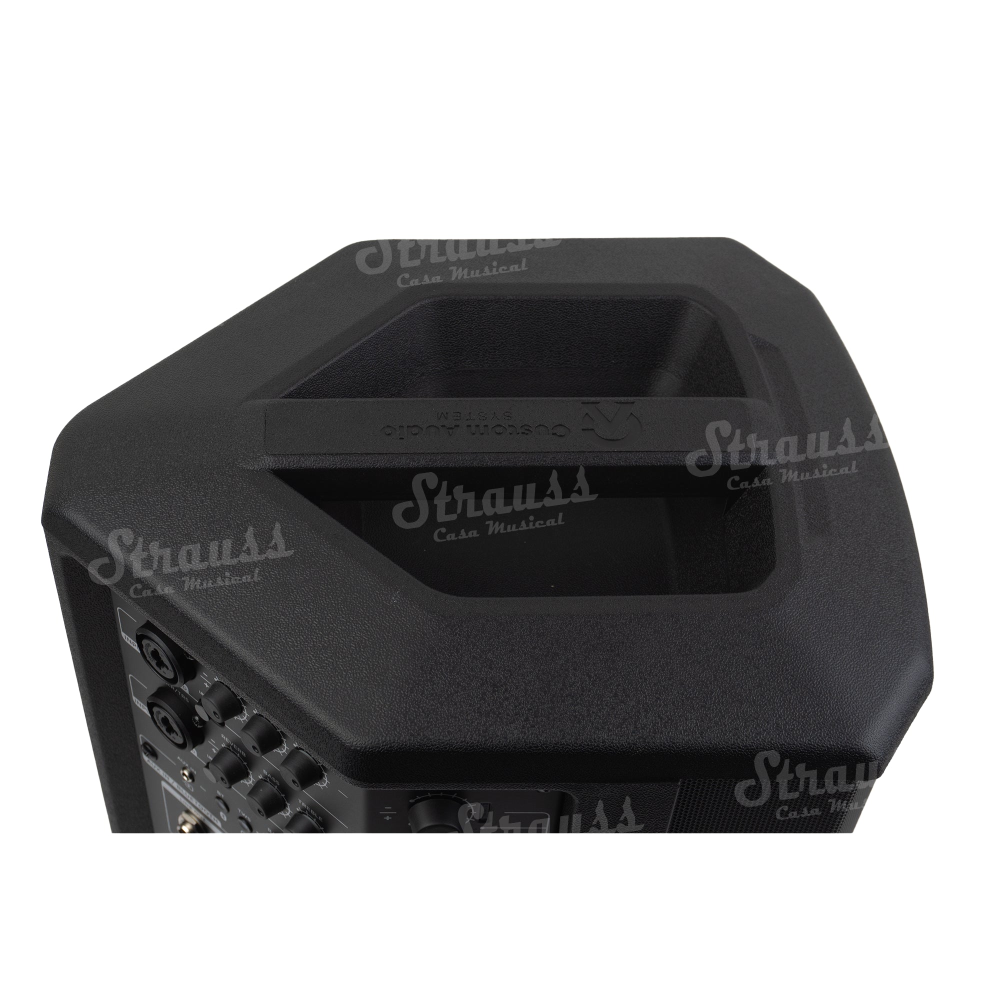 Custom Audio System Parlante Portatil - M4T Black