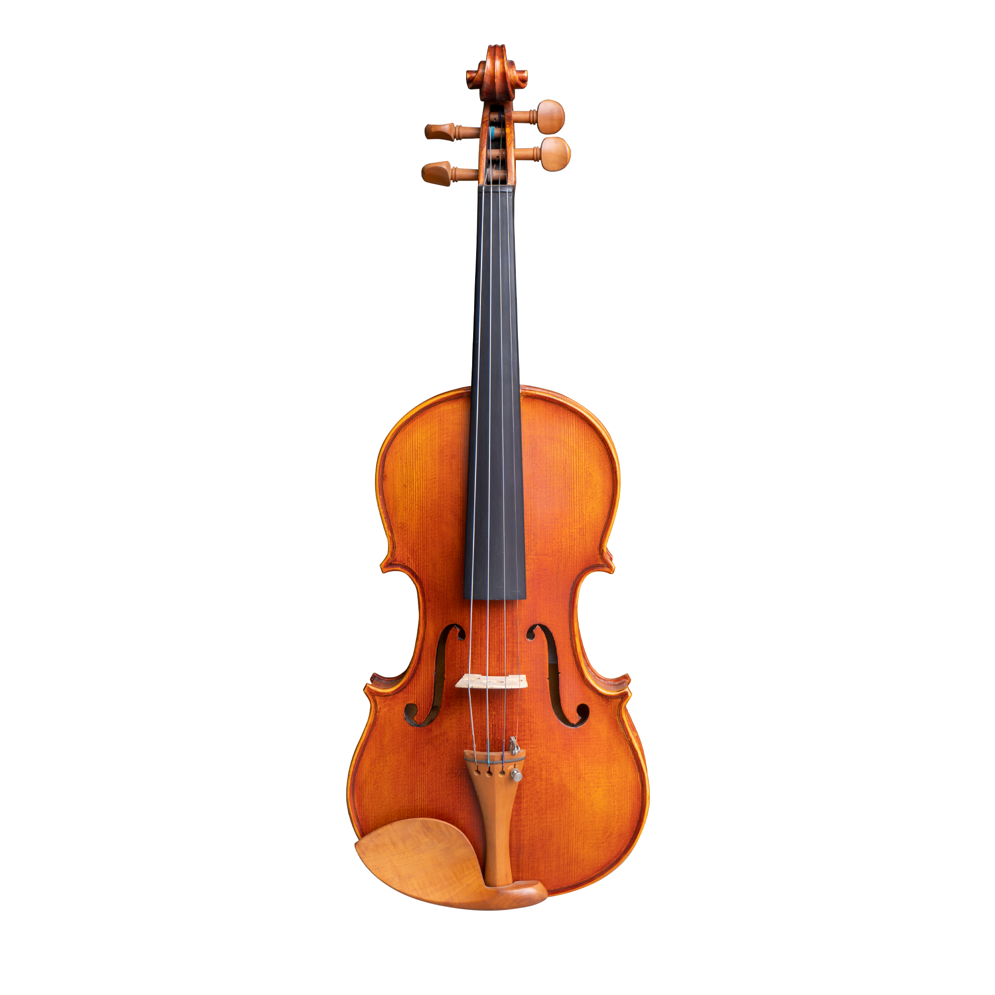Violín Djersen 4/4 - HVB01N