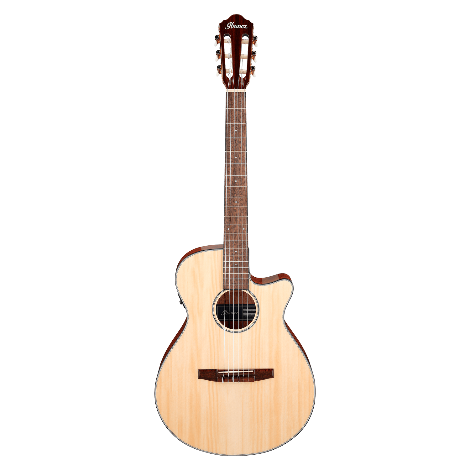 Guitarra electroacústica Ibanez - AEG50N NT