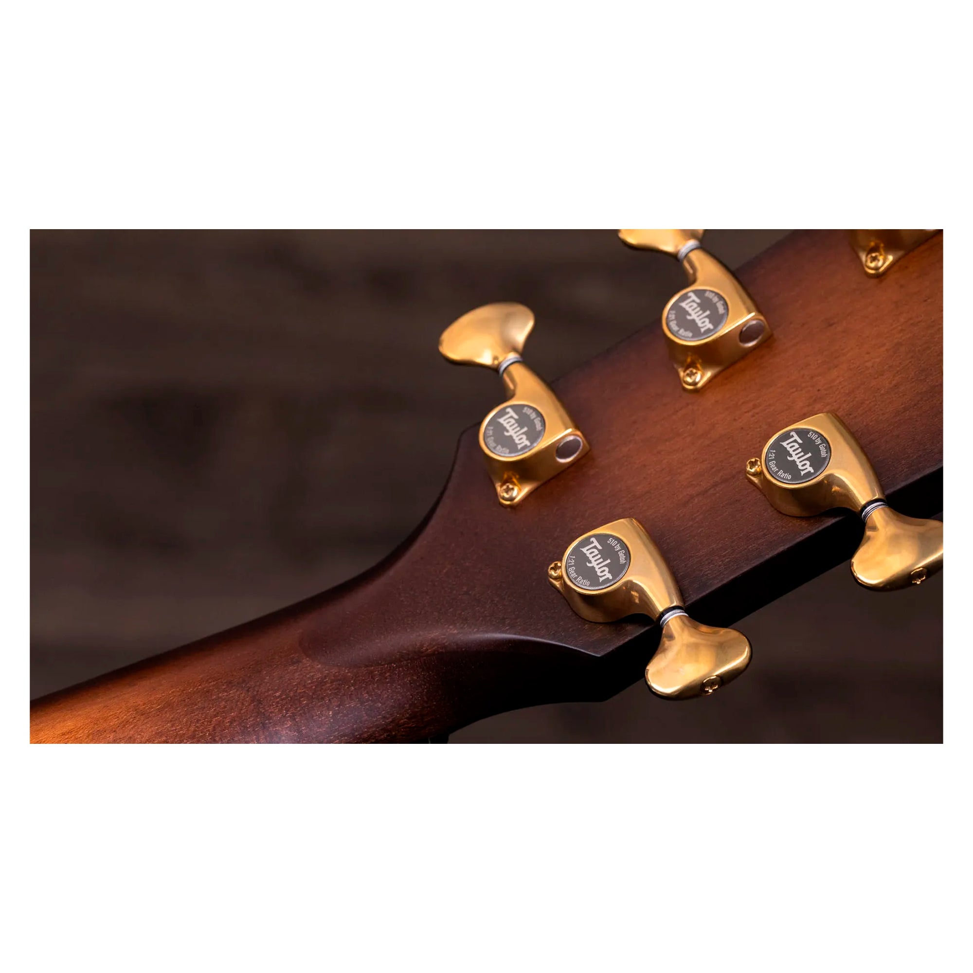 Guitarra Electroacústica Builder's Edition 614ce WHB